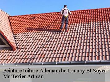 Peinture toiture  allemanche-launay-et-soyer-51260 Mr Texier Artisan