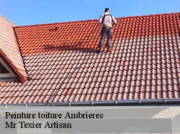 Peinture toiture  ambrieres-51290 Mr Texier Artisan