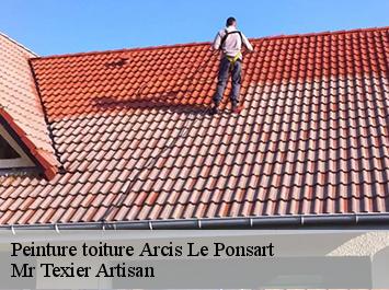 Peinture toiture  arcis-le-ponsart-51170 Mr Texier Artisan