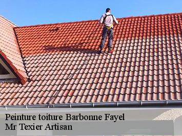 Peinture toiture  barbonne-fayel-51120 Mr Texier Artisan