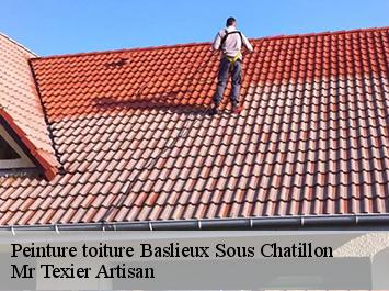 Peinture toiture  baslieux-sous-chatillon-51700 Mr Texier Artisan