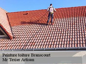 Peinture toiture  branscourt-51140 Mr Texier Artisan