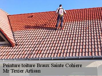 Peinture toiture  braux-sainte-cohiere-51800 Mr Texier Artisan