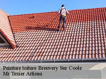 Peinture toiture  breuvery-sur-coole-51240 Mr Texier Artisan