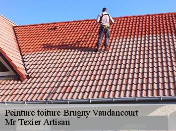 Peinture toiture  brugny-vaudancourt-51200 Mr Texier Artisan