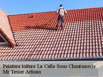 Peinture toiture  la-celle-sous-chantemerle-51260 Mr Texier Artisan