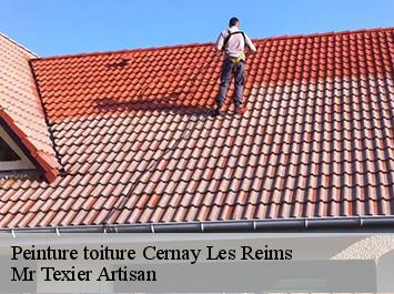 Peinture toiture  cernay-les-reims-51420 Mr Texier Artisan