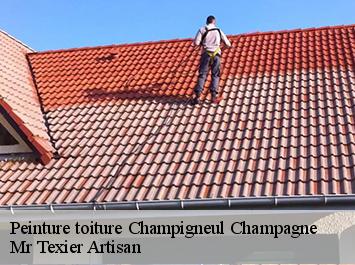 Peinture toiture  champigneul-champagne-51150 Mr Texier Artisan