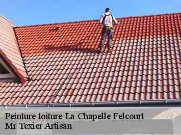 Peinture toiture  la-chapelle-felcourt-51800 Mr Texier Artisan