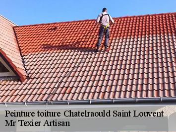 Peinture toiture  chatelraould-saint-louvent-51300 Mr Texier Artisan