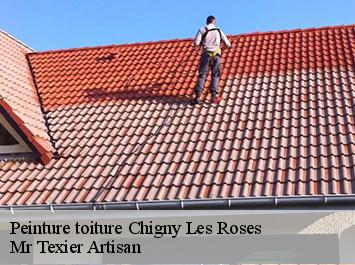 Peinture toiture  chigny-les-roses-51500 Mr Texier Artisan