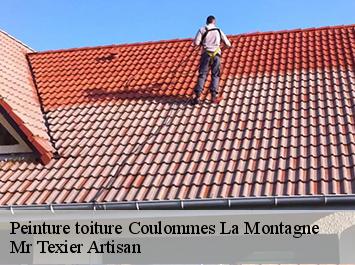 Peinture toiture  coulommes-la-montagne-51390 Mr Texier Artisan