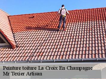 Peinture toiture  la-croix-en-champagne-51600 Mr Texier Artisan