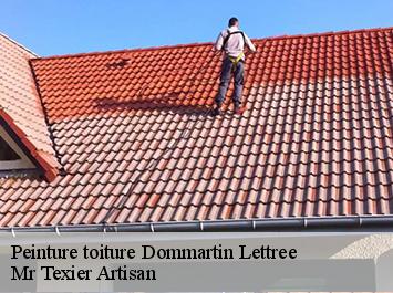 Peinture toiture  dommartin-lettree-51320 Mr Texier Artisan