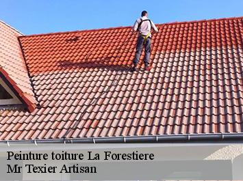 Peinture toiture  la-forestiere-51120 Mr Texier Artisan