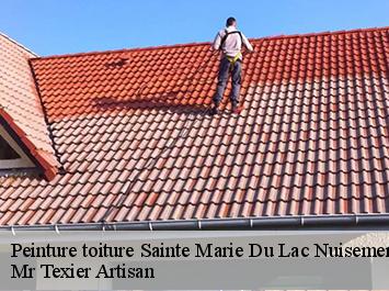 Peinture toiture  sainte-marie-du-lac-nuisemen-51290 Mr Texier Artisan