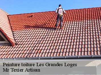 Peinture toiture  les-grandes-loges-51400 Mr Texier Artisan