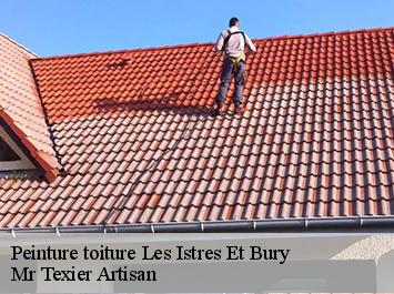 Peinture toiture  les-istres-et-bury-51190 Mr Texier Artisan