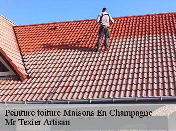 Peinture toiture  maisons-en-champagne-51300 Mr Texier Artisan