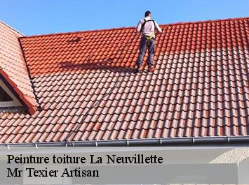 Peinture toiture  la-neuvillette-51100 Mr Texier Artisan