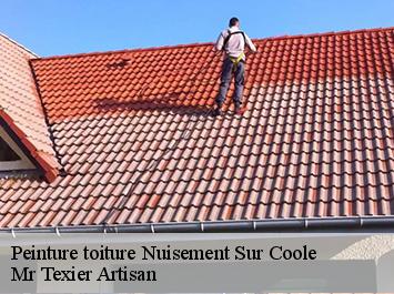 Peinture toiture  nuisement-sur-coole-51240 Mr Texier Artisan