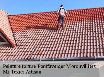 Peinture toiture  pontfaverger-moronvilliers-51490 Mr Texier Artisan