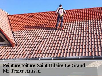 Peinture toiture  saint-hilaire-le-grand-51600 Mr Texier Artisan