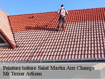 Peinture toiture  saint-martin-aux-champs-51240 Mr Texier Artisan