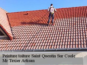 Peinture toiture  saint-quentin-sur-coole-51240 Mr Texier Artisan