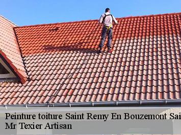 Peinture toiture  saint-remy-en-bouzemont-saint-g-51290 Mr Texier Artisan