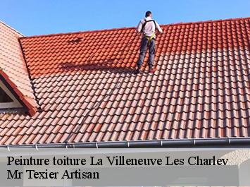 Peinture toiture  la-villeneuve-les-charlev-51120 Mr Texier Artisan