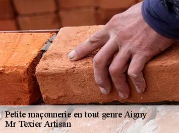 Petite maçonnerie en tout genre  aigny-51150 Mr Texier Artisan