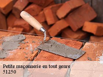 Petite maçonnerie en tout genre  51250