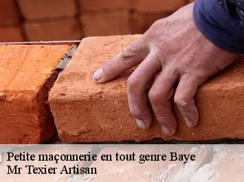 Petite maçonnerie en tout genre  baye-51270 Mr Texier Artisan