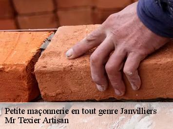 Petite maçonnerie en tout genre  janvilliers-51210 Mr Texier Artisan