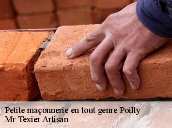 Petite maçonnerie en tout genre  poilly-51170 Mr Texier Artisan