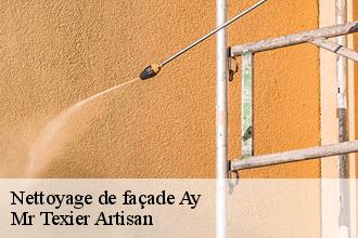 Nettoyage de façade  ay-51160 Mr Texier Artisan