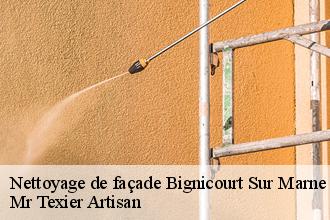 Nettoyage de façade  bignicourt-sur-marne-51300 Mr Texier Artisan