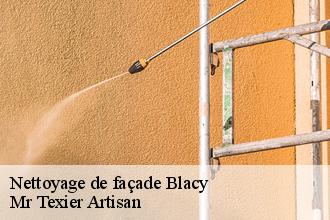 Nettoyage de façade  blacy-51300 Mr Texier Artisan