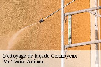 Nettoyage de façade  cormoyeux-51480 Mr Texier Artisan