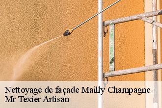 Nettoyage de façade  mailly-champagne-51500 Mr Texier Artisan