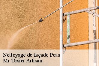 Nettoyage de façade  peas-51120 Mr Texier Artisan