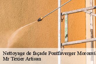 Nettoyage de façade  pontfaverger-moronvilliers-51490 Mr Texier Artisan