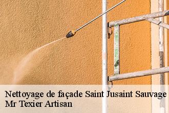 Nettoyage de façade  saint-jusaint-sauvage-51260 Mr Texier Artisan