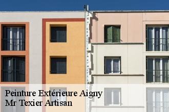 Peinture Extérieure  aigny-51150 Mr Texier Artisan