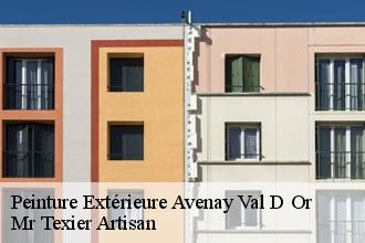 Peinture Extérieure  avenay-val-d-or-51160 Mr Texier Artisan