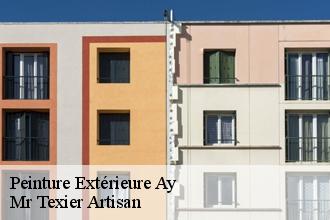 Peinture Extérieure  ay-51160 Mr Texier Artisan