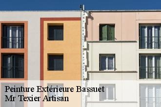 Peinture Extérieure  bassuet-51300 Mr Texier Artisan