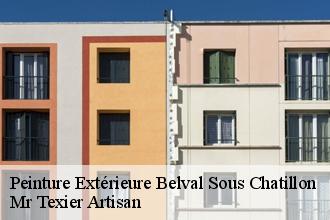 Peinture Extérieure  belval-sous-chatillon-51480 Mr Texier Artisan