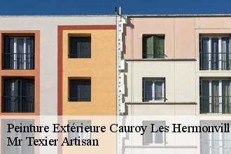 Peinture Extérieure  cauroy-les-hermonville-51220 Mr Texier Artisan